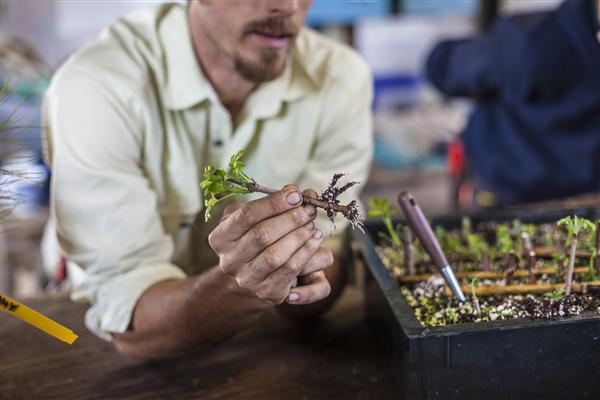 Winter Propagation and Winter Grafting Event