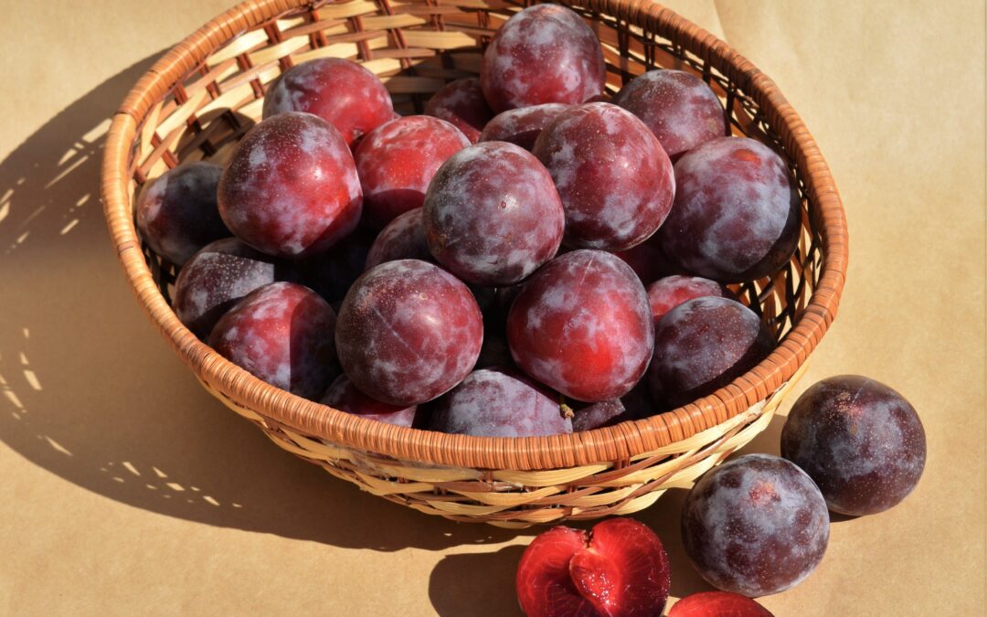 Featured Fruit: Methley Plums