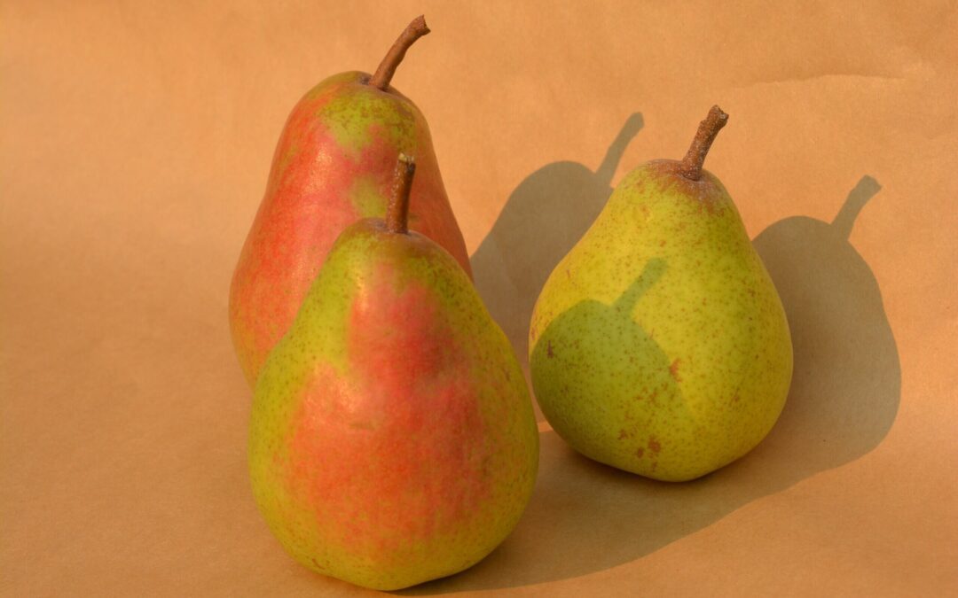 Featured Fruit: Orcas Pears