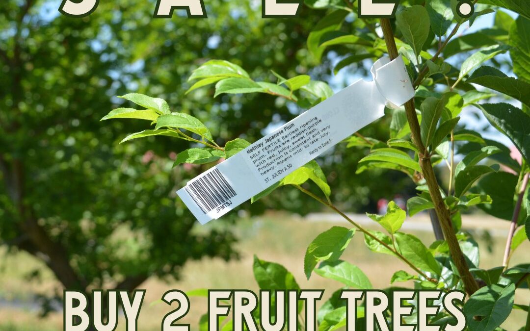 Buy Two Fruit Trees, Get a Third Free