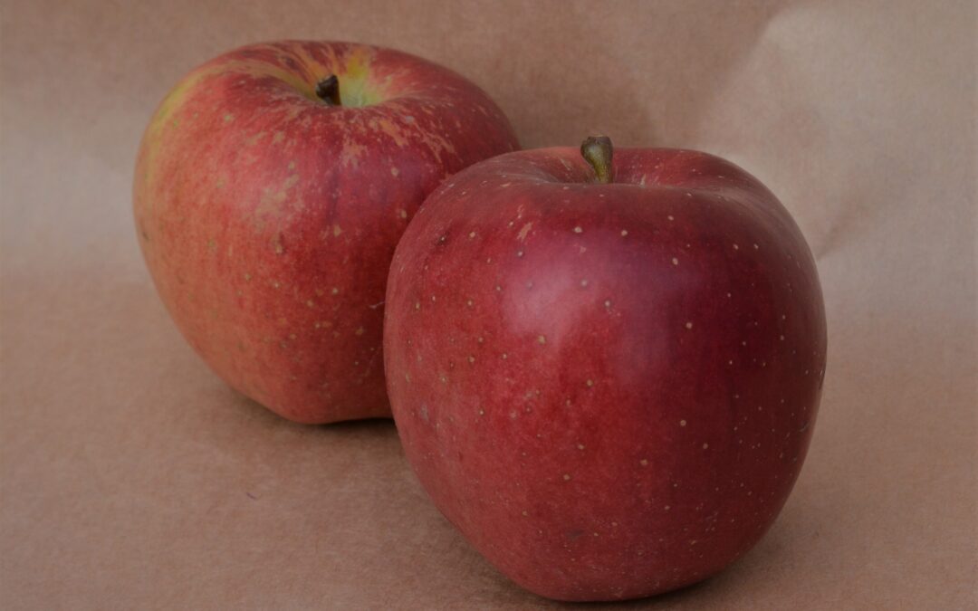 Featured Fruit: Melrose Apple