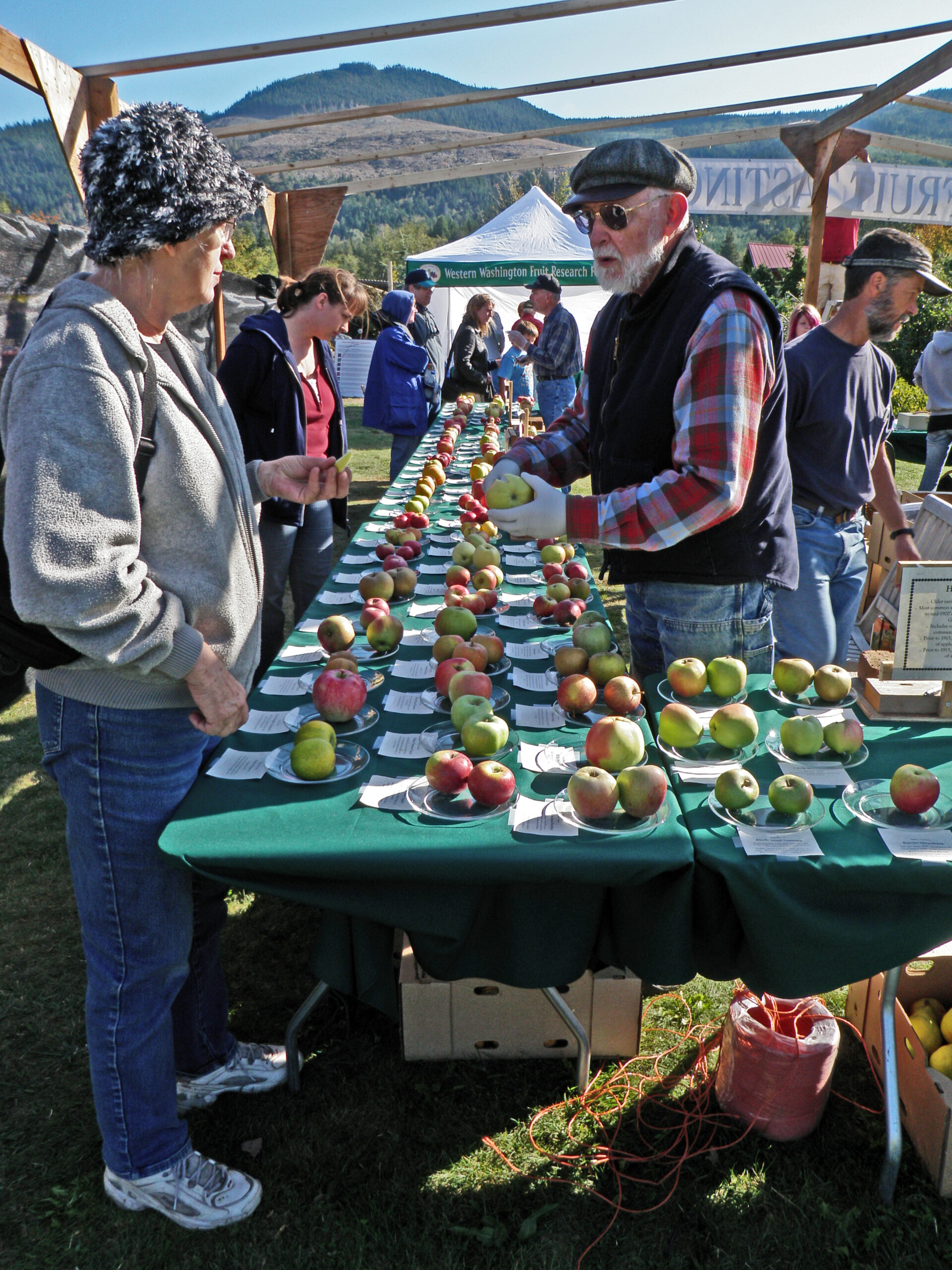 people line up to taste apples