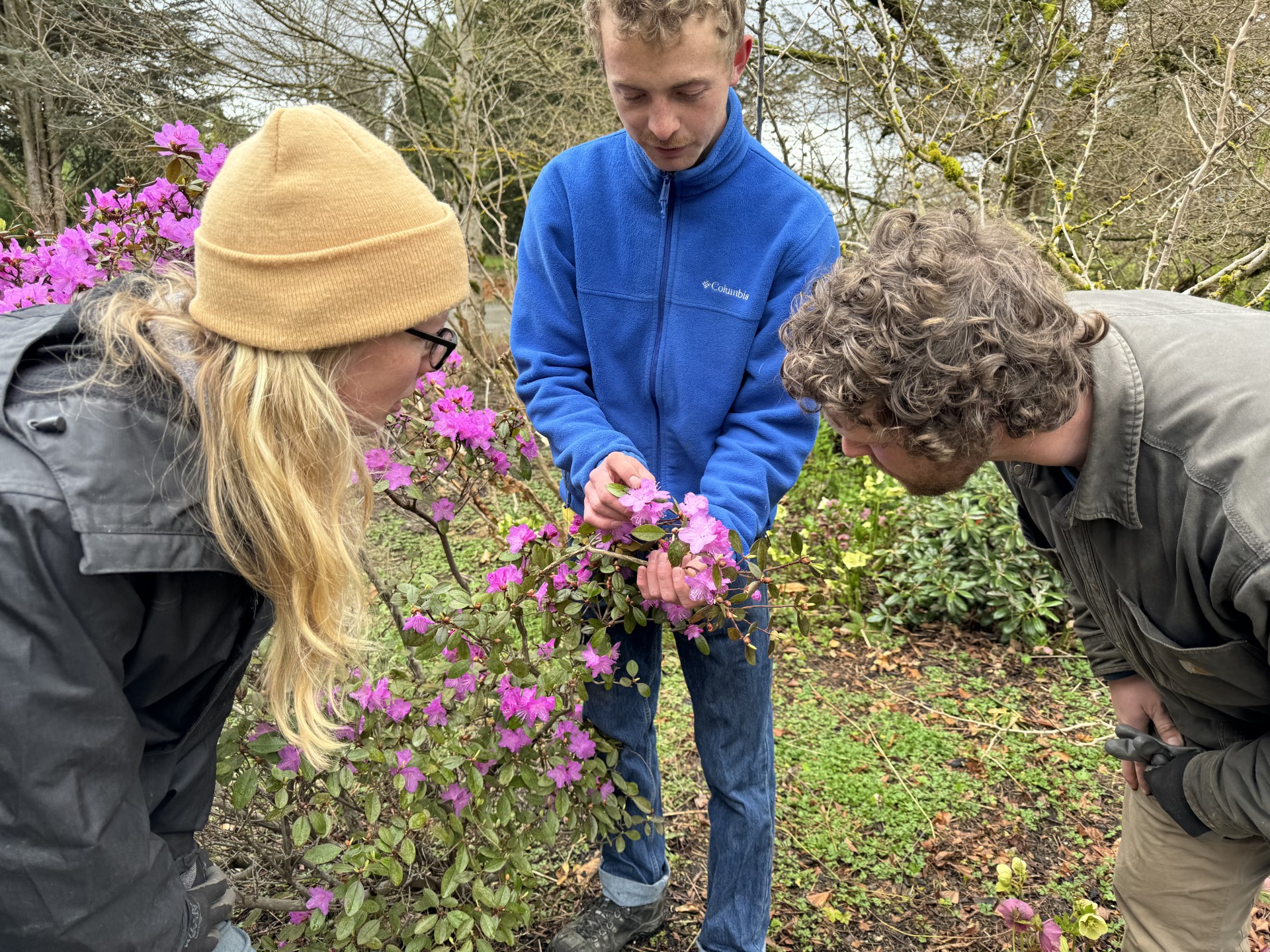 Botany Walk and Plant ID